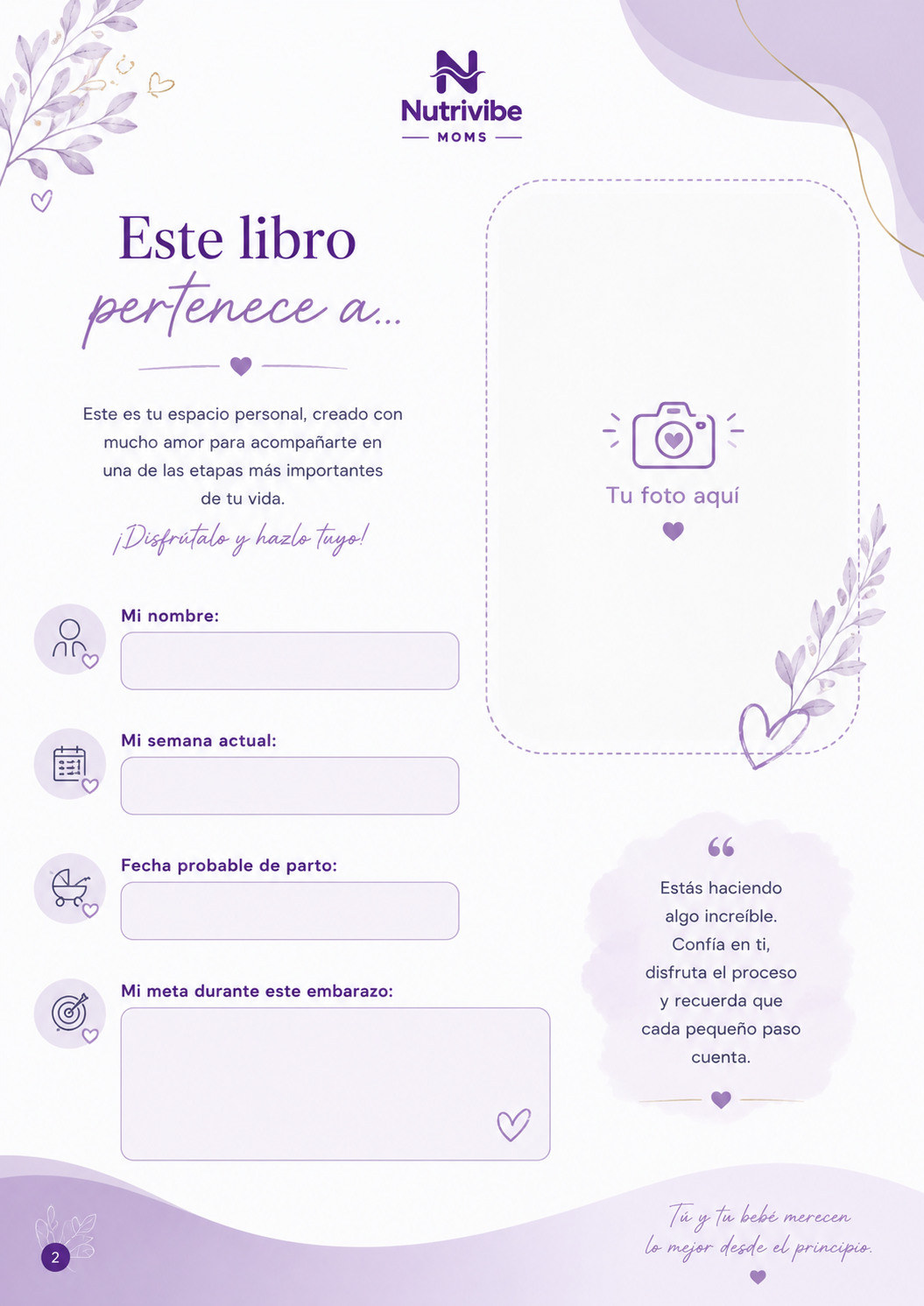 Mi Embarazo Saludable — vista previa 2