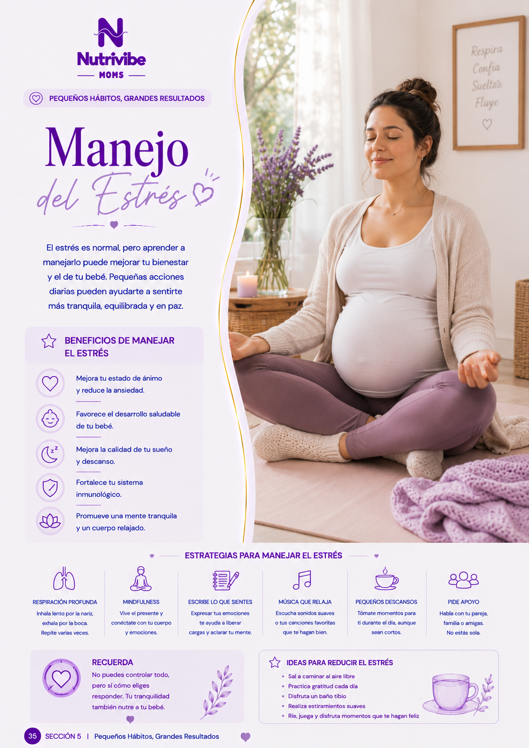 Mi Embarazo Saludable — vista previa 6